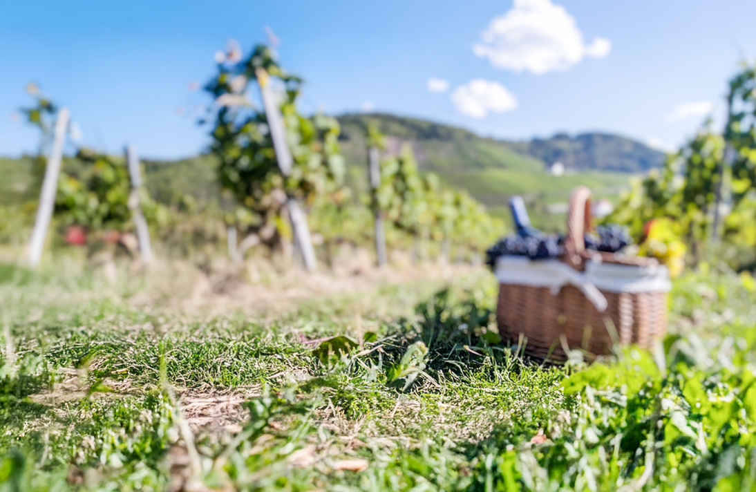 Landschaft Picknick Korb